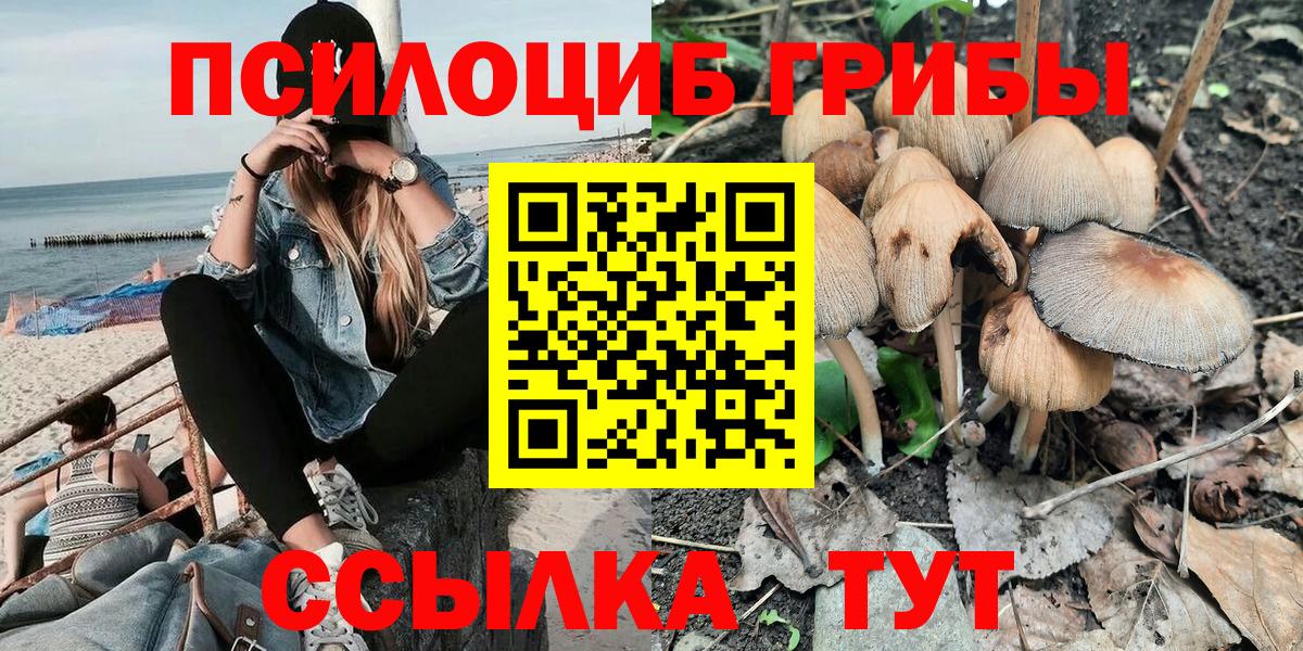 Уфа  Галлюциногенные грибы GOLDEN TEACHER  купить  сайты  Вход с VPN 